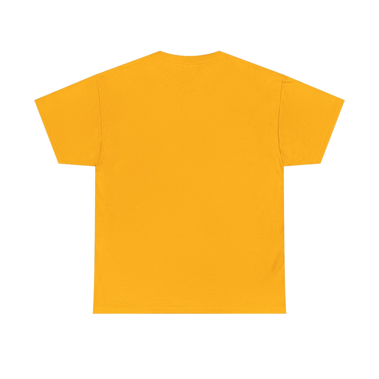 Every Little Promise Unisex Heavy Cotton Tee - Music Vibe Shirt