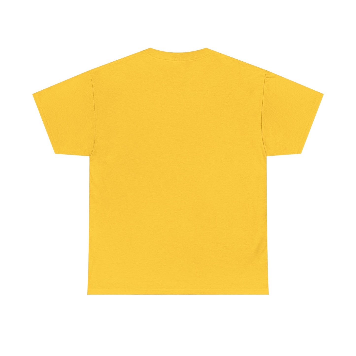 Every Little Promise Unisex Heavy Cotton Tee - Music Vibe Shirt