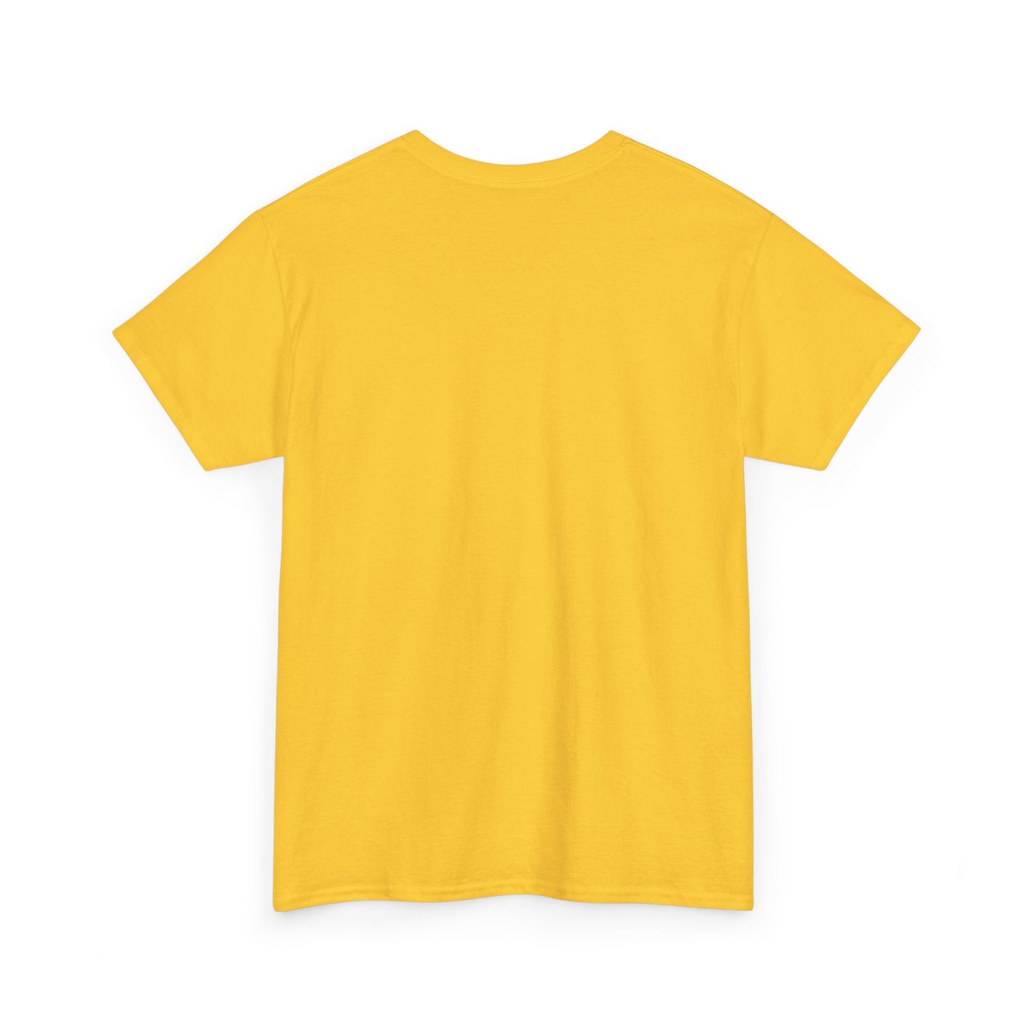 Every Little Promise Unisex Heavy Cotton Tee - Music Vibe Shirt