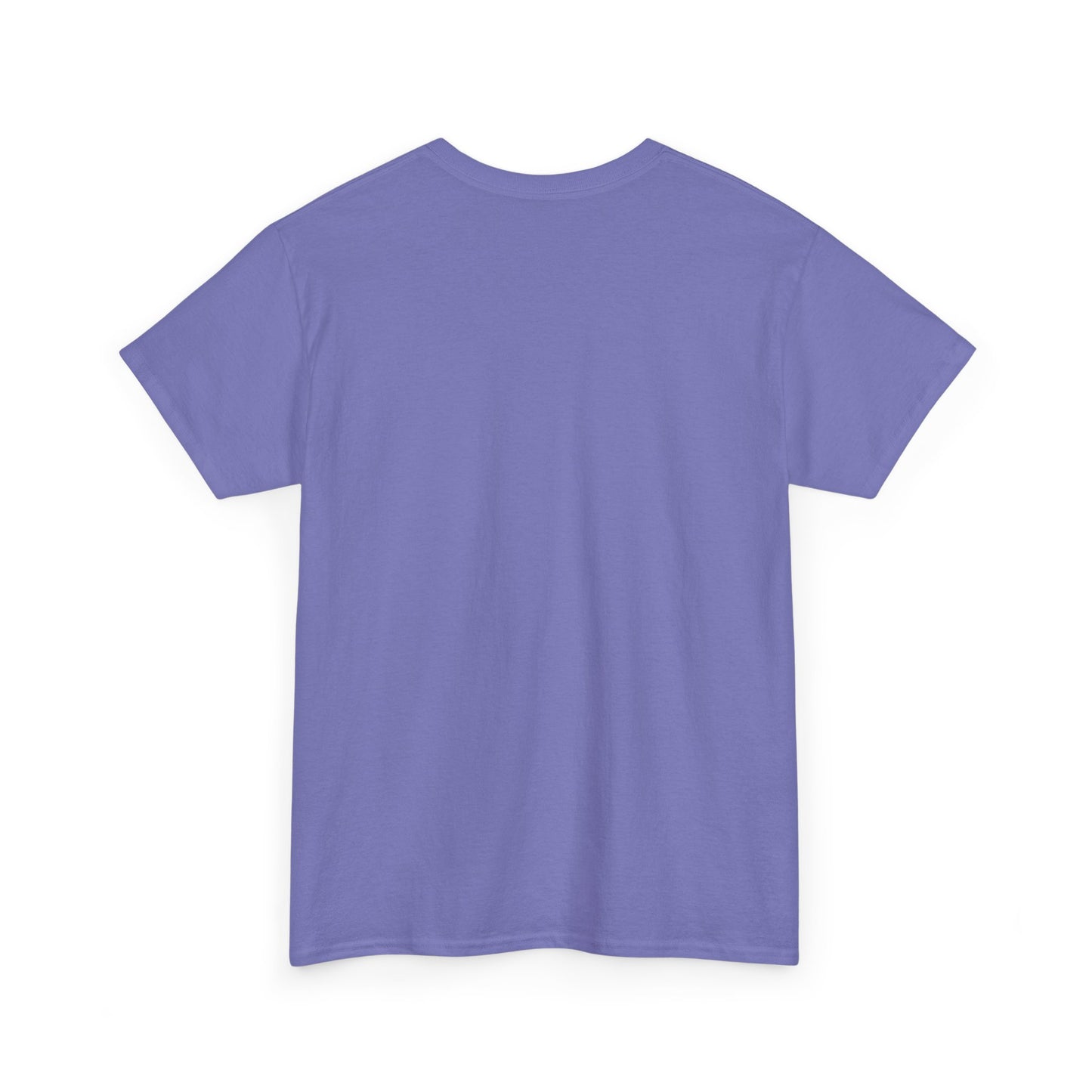 Every Little Promise Unisex Heavy Cotton Tee - Music Vibe Shirt