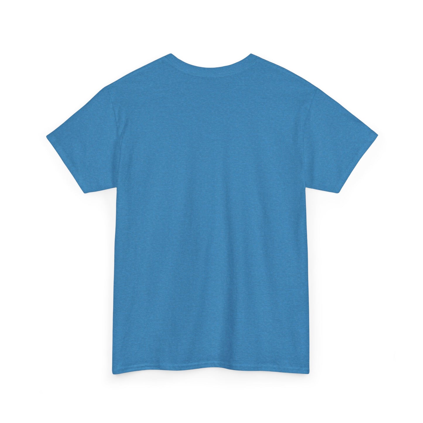 Every Little Promise Unisex Heavy Cotton Tee - Music Vibe Shirt