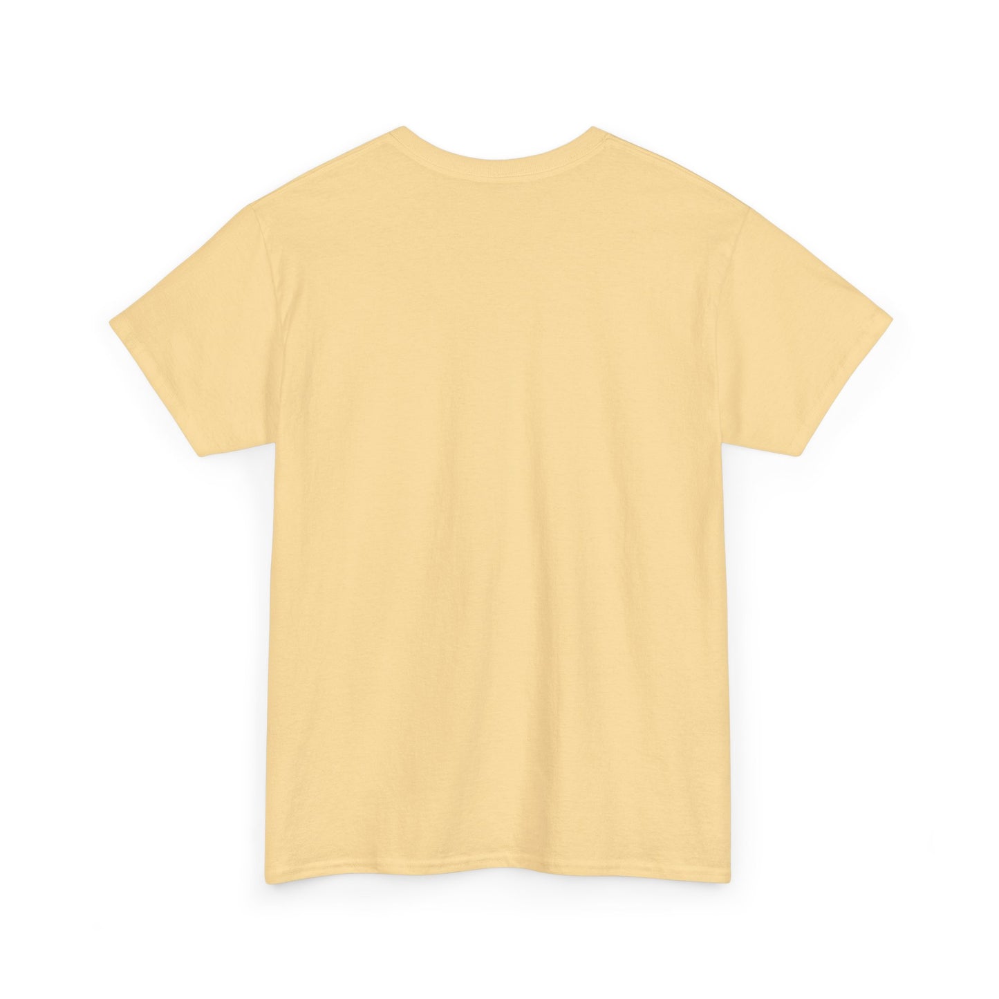 Every Little Promise Unisex Heavy Cotton Tee - Music Vibe Shirt